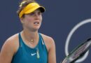 Стаховський оцінив потенціал Світоліної очолити рейтинг WTA